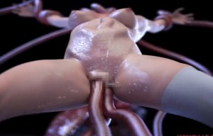 Thumbnail of post image 123