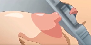 Thumbnail of post image 042