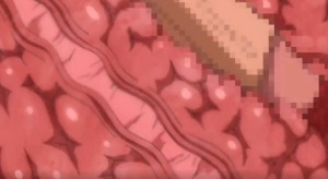 Thumbnail of post image 053