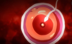 Thumbnail of post image 051