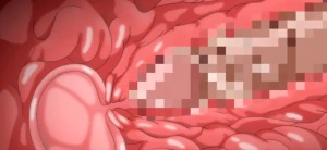 Thumbnail of post image 004
