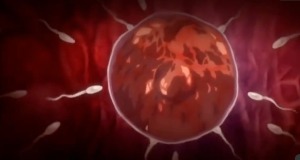 Thumbnail of post image 011