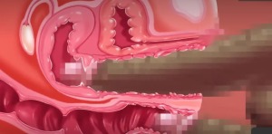 Thumbnail of post image 009