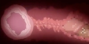 Thumbnail of post image 097