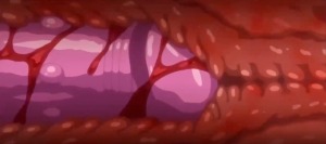 Thumbnail of post image 106