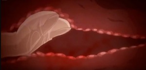 Thumbnail of post image 018