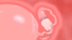Thumbnail of post image 034